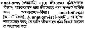 anatomy