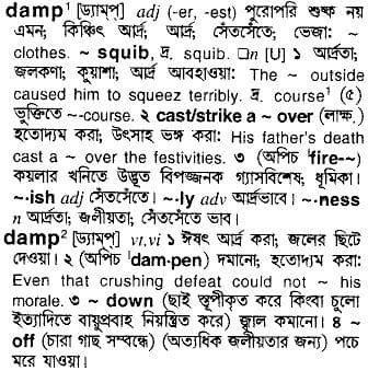 damp