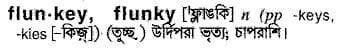 flunky