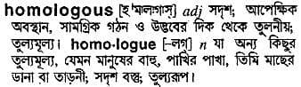 homologous