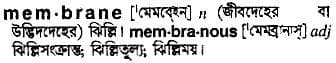 membrane