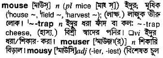 mouse