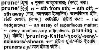 prune