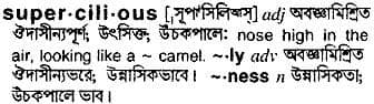 supercilious