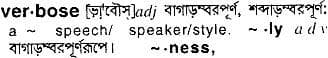 verbose