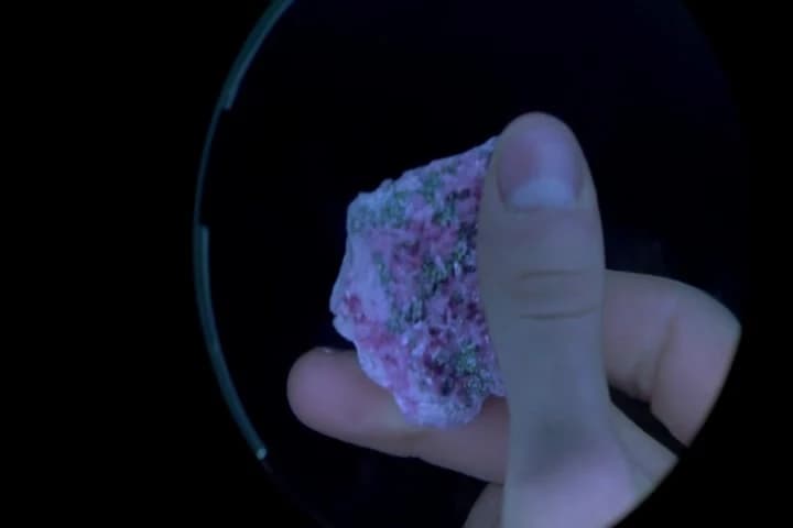 WALT JR.:
Cool. What makes it be
all pink like that?