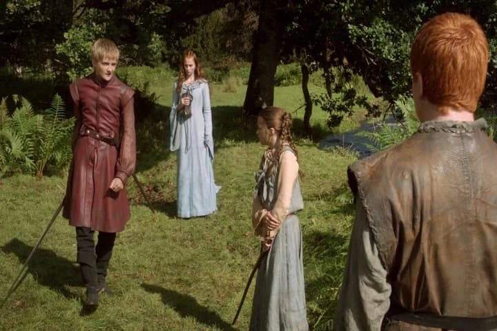 Pick up your sword, butcher's boy.
Let's see how good you are.