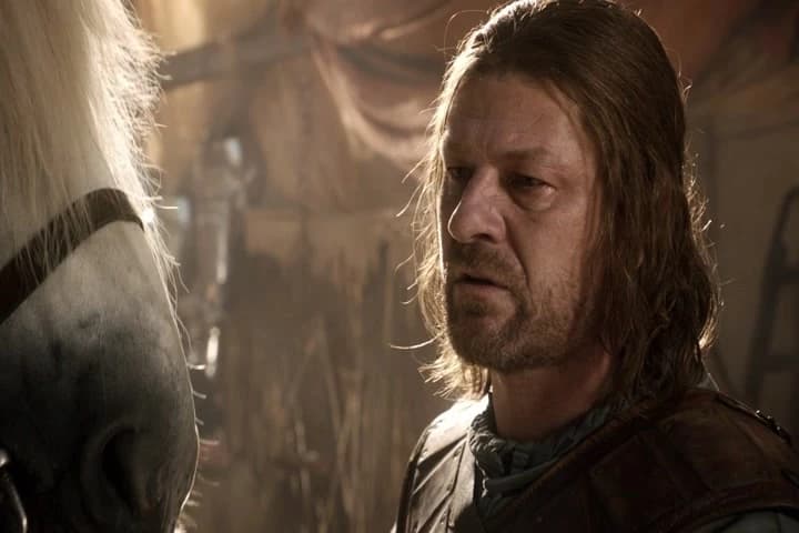 King Robert's bastard son.