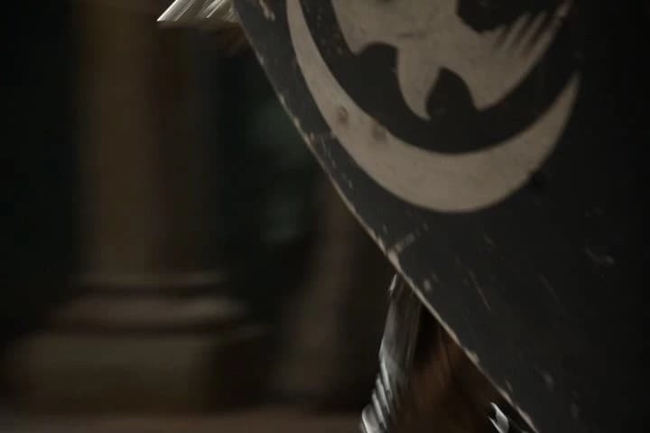 Raise your sword. Raise it!