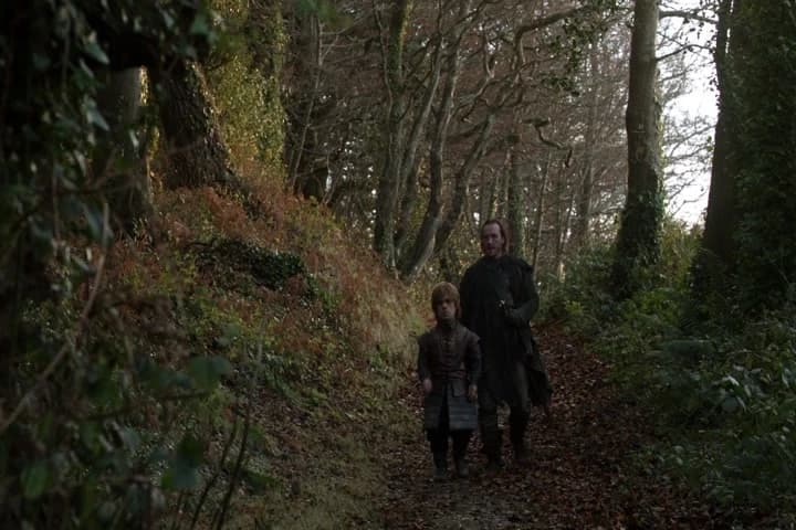 But don't go looking
for me to bend the knee