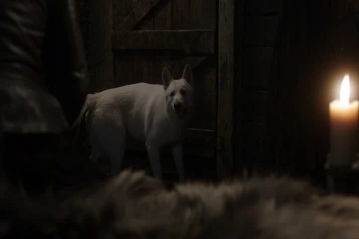 Ghost, what's wrong?