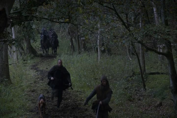 Come on, find the scent.