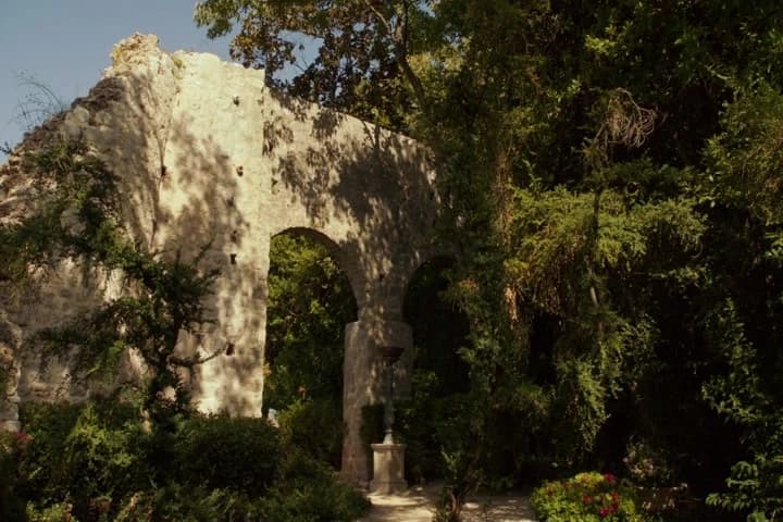 I know the walls have ears,
but apparently the shrubbery does, too