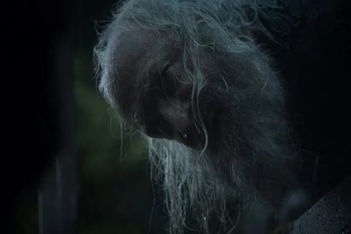 Kill me and be cursed.
You are no king of mine.