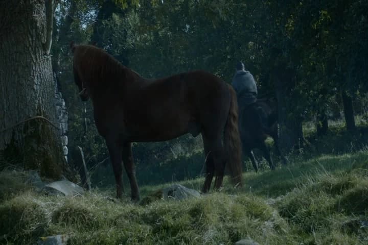 Clear the barn!