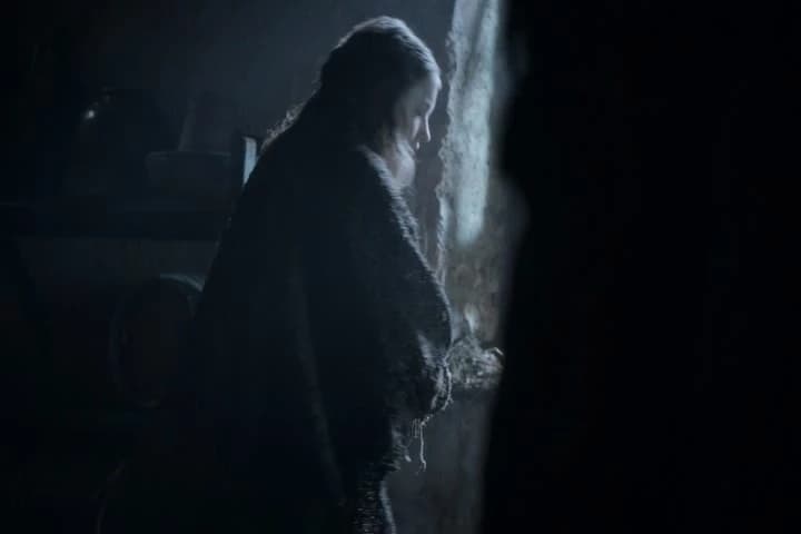 Who's gonna protect you
at Castle Black? Me?