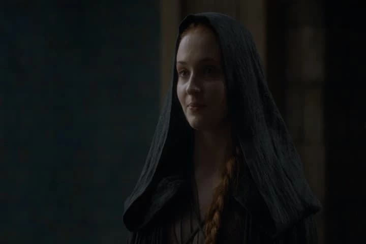 You think I'd let my intended
leave the Eyrie on urgent business