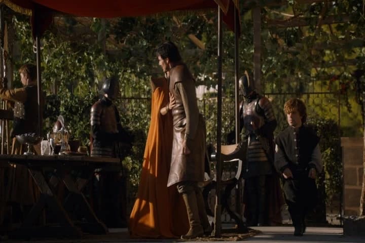 Looks like very light armour.