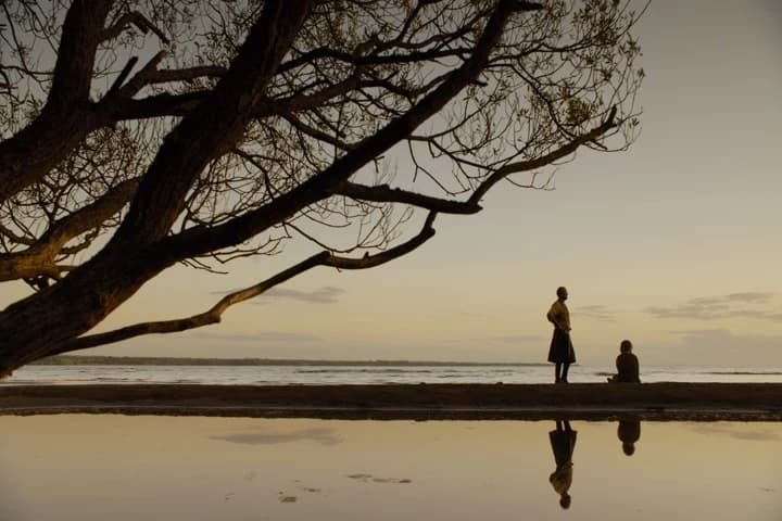 We walk up the coast.
With luck, we'll find a fishing village.