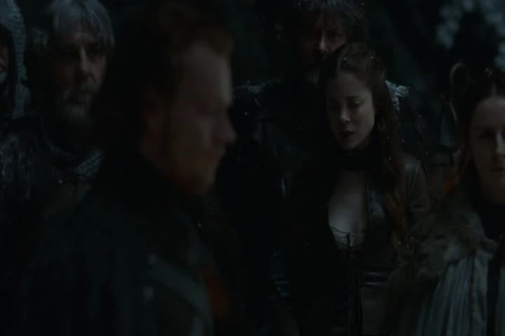 Heir to the Dreadfort and Winterfell.