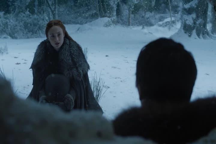 I thought you were
the Three-Eyed Raven.