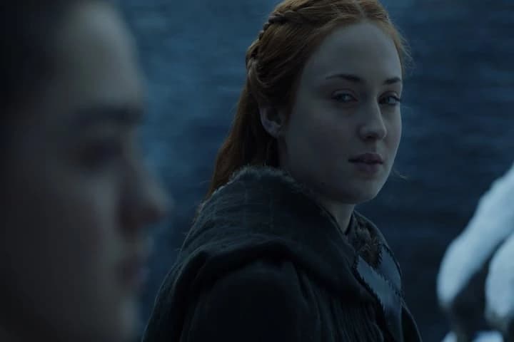 "the lone wolf dies,
but the pack survives."