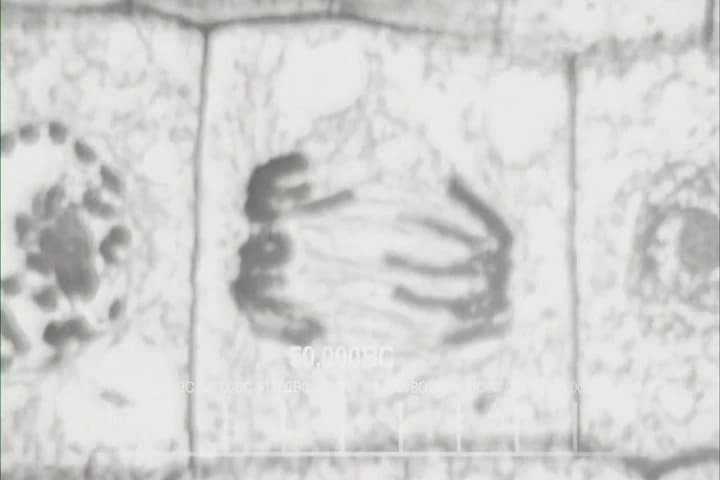 ♪ Then nearly 14 billion years
ago expansion started... Wait! ♪