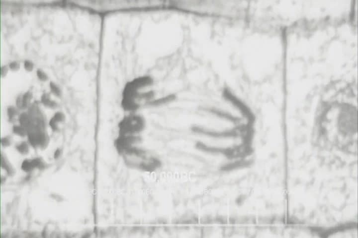 ♪ Then nearly 14 billion years
ago expansion started... Wait! ♪