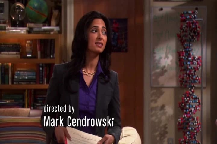 Point is, Sheldon, the legal principle...