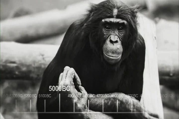 ♪ The autotrophs began to drool,
Neanderthals developed tools ♪