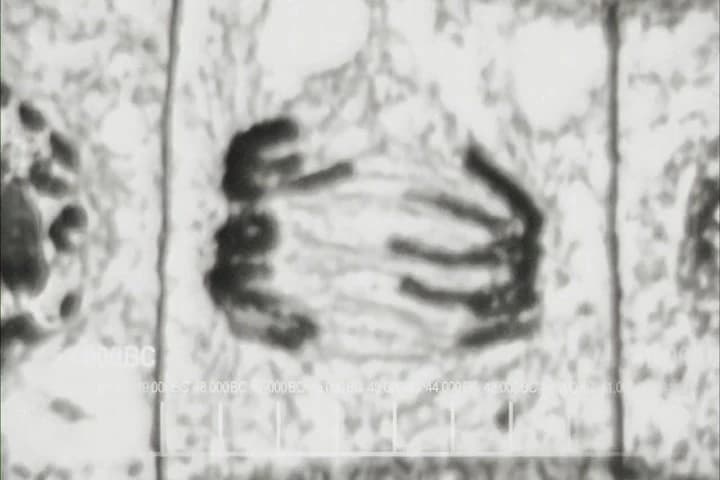 ♪ The Earth began to cool