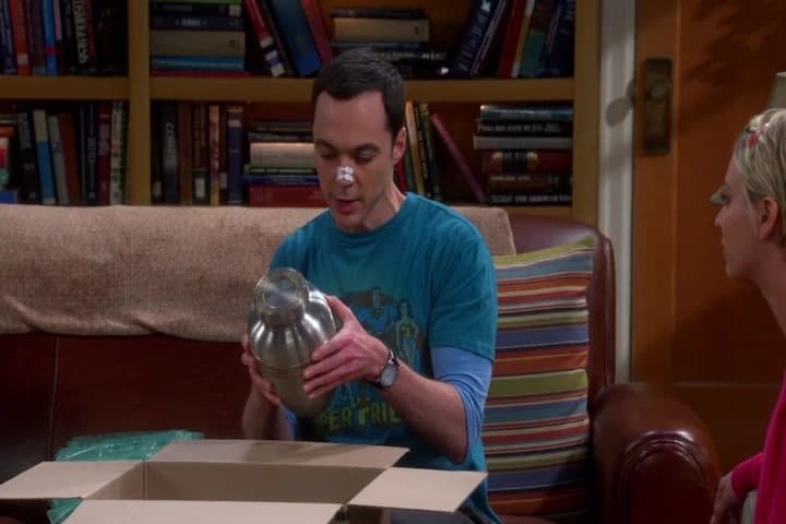 "Here lie the ashes of Leonard Hofstadter.