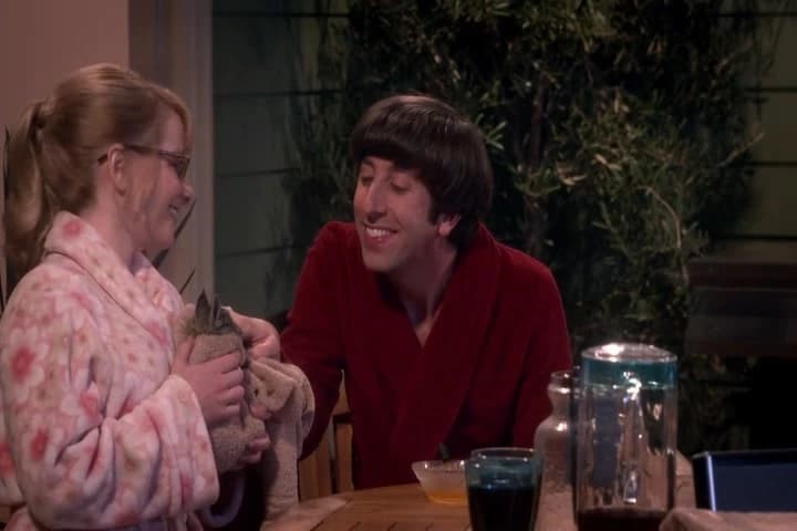Look at all that chest hair and overbite,
of course you're a Wolowitz.
