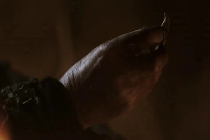 LAGERTHA: I am frightened
for my husband.