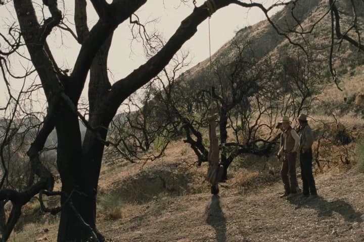 I thought the horses was wild.