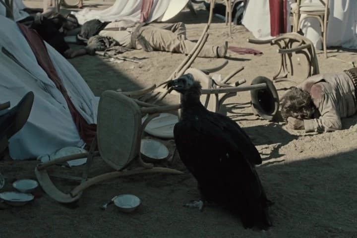 ( vulture squawks )