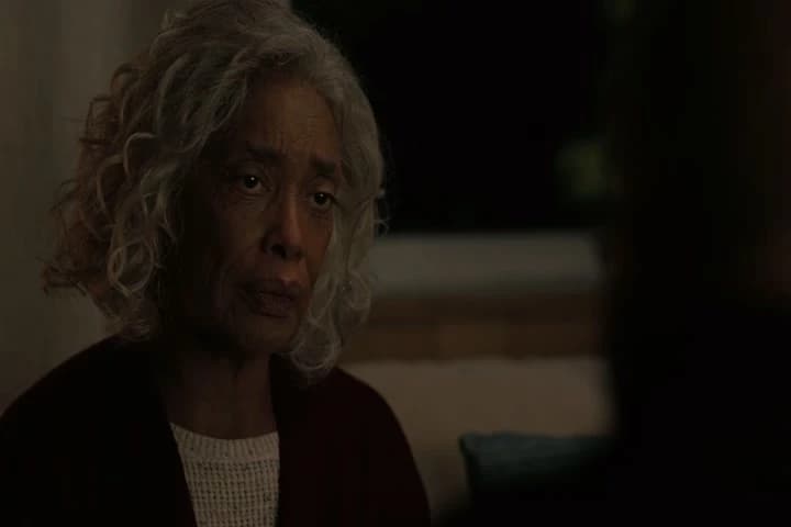facial prosthetic makeup,
and the grey hair and wig.